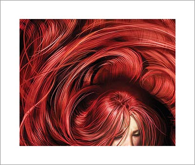 This wonderful lavish display of red hair is a detail from the cover of 