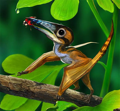Illustration: Chuang Zhao — Tiny perching pterosaur
