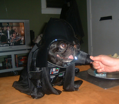 Pug Vader