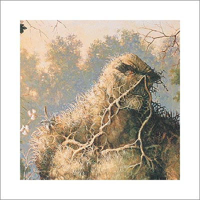 SAGA OF THE SWAMP THING BOOK ONE HC