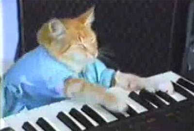 Keyboard Cat