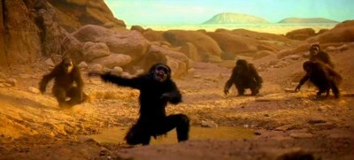 The apes from 2001: A Space Odyssey 