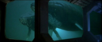 The Whales from Star Trek IV: The Voyage Home