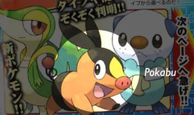 Pokabu Pokabu
