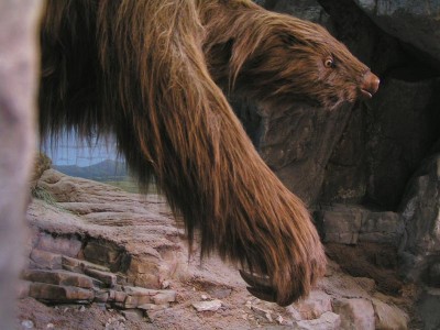 Giant Sloth Giant Sloth
