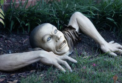Garden Zombie: an actual example