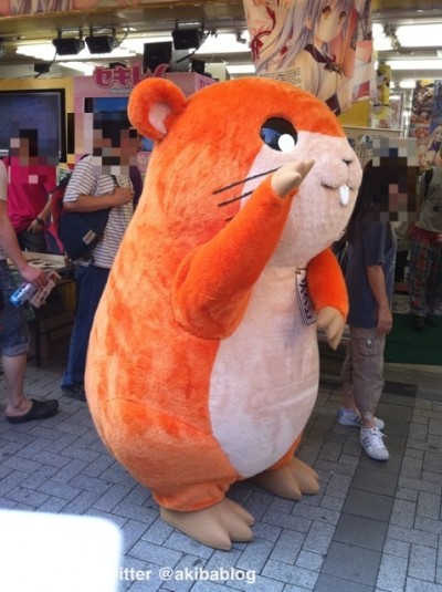 ゲーマーズ本店前にチクビなう #akiba hamster cosplay ゲーマーズ本店前にチクビなう #akiba hamster cosplay