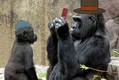 Gorilla Playing Professor Layton