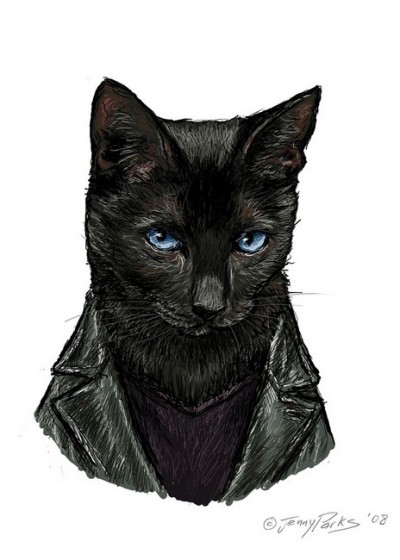 Doctor Who Cat
