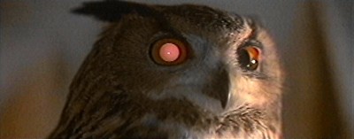 Blade Runner artificial owl