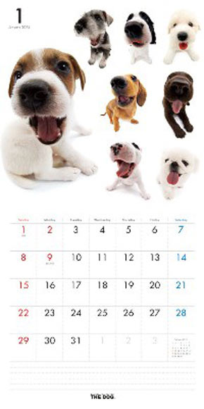 2012 Calendar -- THE DOG ALL STAR
