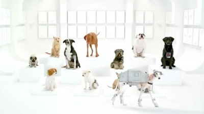 The Bark Side Commercial Teaser 1