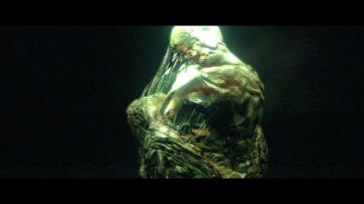 Resident Evil 6 C-Virus Cocoon