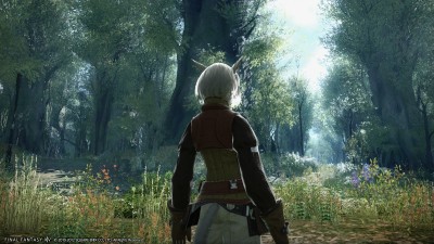 Final-Fantasy-XIV_2012_06-05-12_009 Final-Fantasy-XIV_2012_06-05-12_009