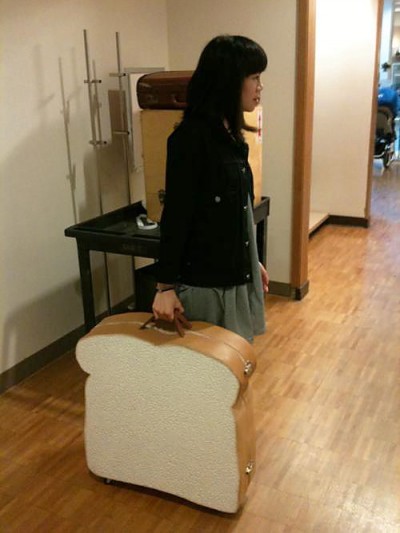 Pb & J Sandwich Suitcase