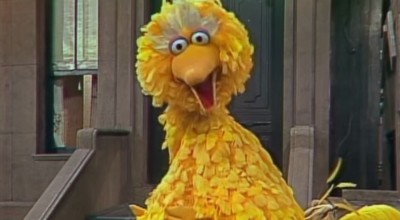 bigbird